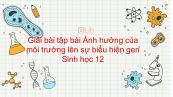 Giải bài tập SGK Sinh học 12 Bài 13: Ảnh hưởng của MT lên sự biểu hiện của gen