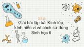 Giải bài tập SGK Sinh học 6 Bài 5: Kính lúp, Kính hiển vi và cách sử dụng