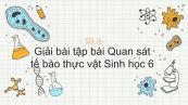 Giải bài tập SGK Sinh học 6 Bài 6
