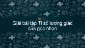 Giải bài tập SGK Toán 9 Bài 2: Tỉ số lượng giác của góc nhọn