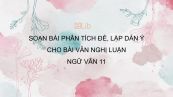 Soạn bài Phân tích đề, lập dàn ý bài văn NL Ngữ văn 11 đầy đủ