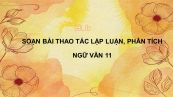 Soạn bài Thao tác lập luận, phân tích đầy đủ