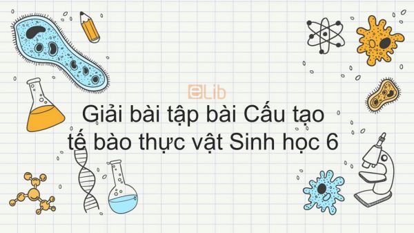 Giải bài tập SGK Sinh học 6 Bài 7: Cấu tạo tế bào thực vật