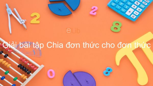 Giải bài tập SGK Toán 8 Bài 10: Chia đơn thức cho đơn thức