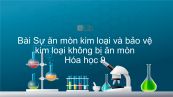 Hóa học 9 Bài 21: Sự ăn mòn kim loại và bảo vệ kim loại không bị ăn mòn