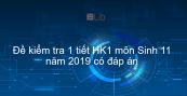 10 đề kiểm tra 1 tiết Học kì 1 môn Sinh lớp 11 năm 2019 có đáp án