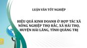 Luận văn: Hiệu quả kinh doanh ở HTX nông nghiệp Thọ Bắc, xã Hải Thọ, huyện Hải Lăng, tỉnh Quảng Trị