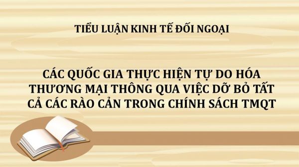 Các quốc gia thực hiện tự do hóa thương mại thông qua việc dỡ bỏ tất cả các rào cản trong chính sách TMQT