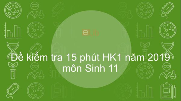 10 đề kiểm tra 15 phút Học kì 1 năm 2019 môn Sinh lớp 11 có đáp án