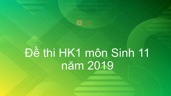 10 đề thi Học kì 1 môn Sinh lớp 11 năm 2019 có đáp án