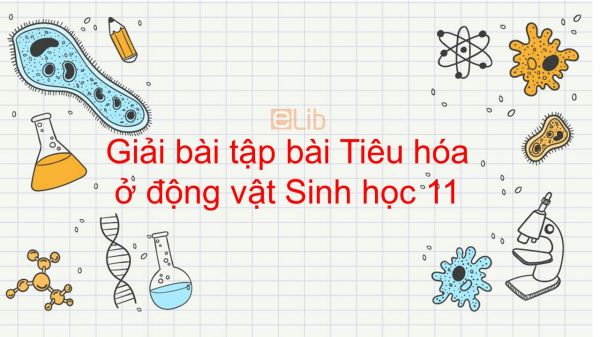 Giải bài tập SGK Sinh học 11 Bài 15: Tiêu hóa ở động vật