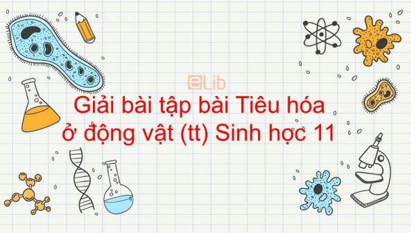 Giải bài tập SGK Sinh học 11 Bài 16: Tiêu hóa ở động vật (tt)