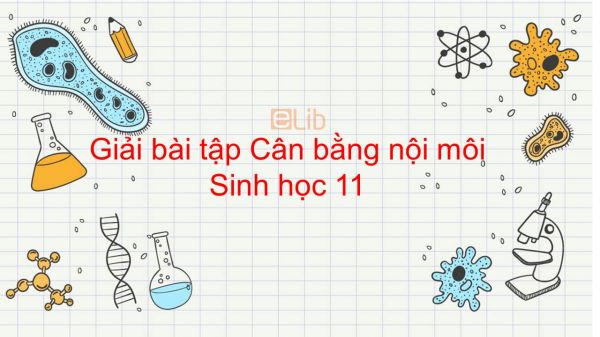 Giải bài tập SGK Sinh học 11 Bài 20: Cân bằng nội môi