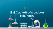 Hoá học 9 Bài 28: Các oxit của cacbon