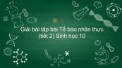Giải bài tập SGK Sinh học 10 Bài 9: Tế bào nhân thực (Tiết 2)