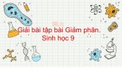 Giải bài tập SGK Sinh học 9 Bài 10: Giảm phân