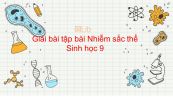 Giải bài tập SGK Sinh học 9 Bài 8: Nhiễm sắc thể
