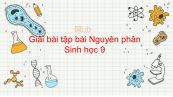 Giải bài tập SGK Sinh học 9 Bài 9: Nguyên phân