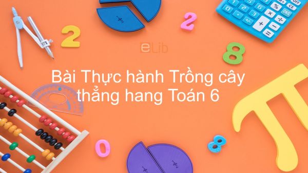 Toán 6 Chương 1 Bài 4: Thực hành Trồng cây thẳng hàng