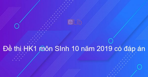 10 đề thi Học kì 1 môn Sinh lớp 10 năm 2019 có đáp án