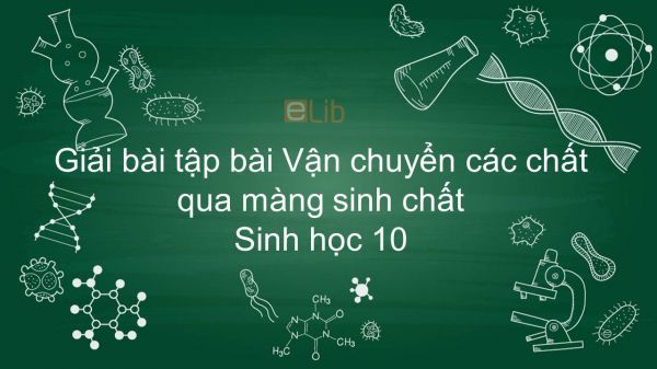 Giải bài tập SGK Sinh học 10 Bài 11: Vận chuyển các chất qua màng sinh chất