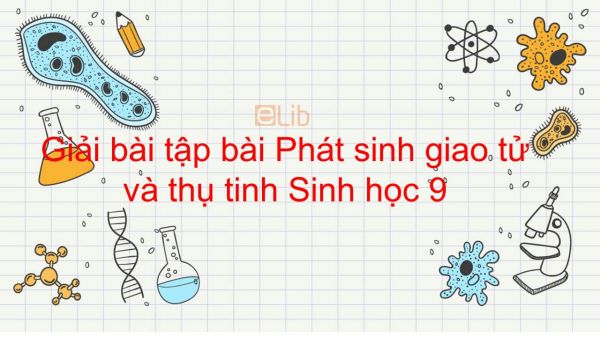 Giải bài tập SGK Sinh học 9 Bài 11: Phát sinh giao tử và thụ tinh