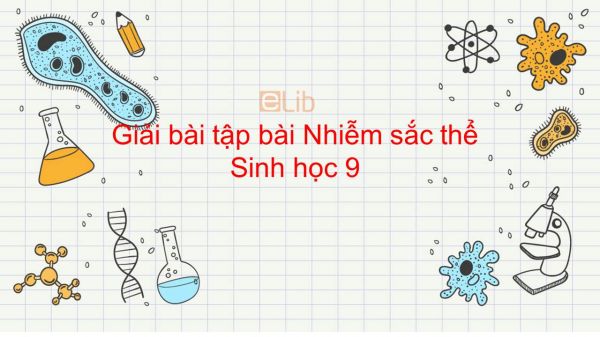 Giải bài tập SGK Sinh học 9 Bài 8: Nhiễm sắc thể