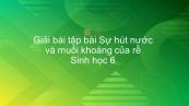 Giải bài tập SGK Sinh học 6 Bài 11: Sự hút nước và muối khoáng của rễ