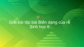 Giải bài tập SGK Sinh học 6 Bài 12: Biến dạng của rễ