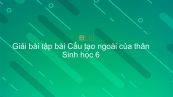 Giải bài tập SGK Sinh học 6 Bài 13: Cấu tạo ngoài của thân