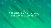 Giải bài tập SGK Sinh học 6 Bài 15: Cấu tạo trong thân non