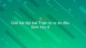 Giải bài tập SGK Sinh học 6 Bài 16: Thân to ra do đâu