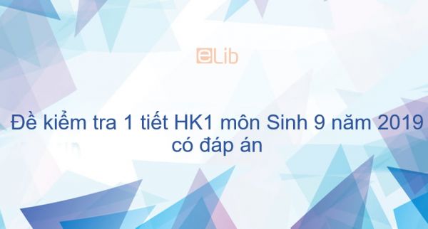 10 đề kiểm tra 1 tiết Học kì 1 môn Sinh lớp 9 năm 2019 có đáp án