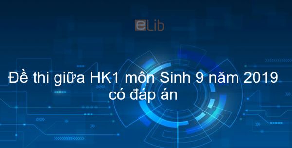 10 đề thi giữa Học kì 1 môn Sinh lớp 9 năm 2019 có đáp án