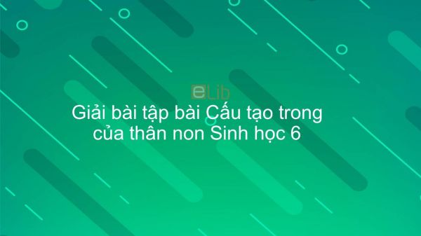 Giải bài tập SGK Sinh học 6 Bài 15: Cấu tạo trong thân non