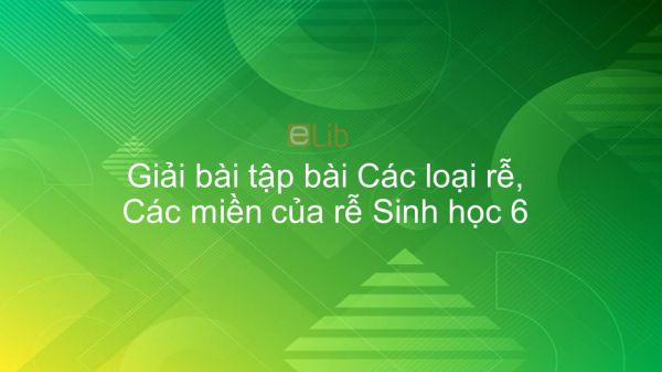 Giải bài tập SGK Sinh học 6 Bài 9: Các loại rễ, các miền của rễ