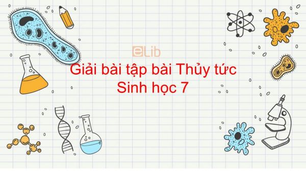 Giải bài tập SGK Sinh học 7 Bài 8: Thủy tức