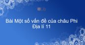 Địa lí 11 Bài 5: Một số vấn đề của châu Phi