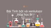 Hoá học 9 Bài 52: Tinh bột và xenlulozơ