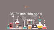 Hoá học 9 Bài 54: Polime