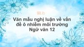 Một số bài văn nghị luận về vấn đề ô nhiễm môi trường của nước ta hiện nay