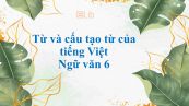 Từ và cấu tạo từ của tiếng Việt Ngữ văn 6