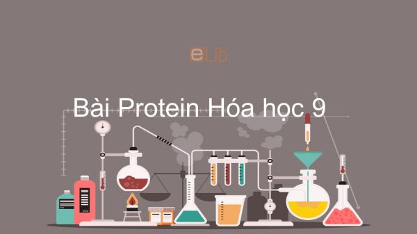 Hoá học 9 Bài 53: Protein