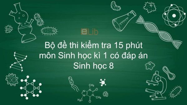 10 đề kiểm tra 15p HK1 môn Sinh học 8 năm 2019 có đáp án