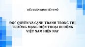 Tiểu luận: Độc quyền và cạnh tranh trong thị trường mạng điện thoại di động Việt Nam hiện nay