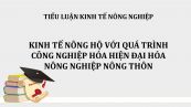 Tiểu luận: Kinh tế nông hộ với quá trình công nghiệp hóa hiện đại hóa nông nghiệp nông thôn