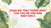 Soạn bài Tính thống nhất của chủ đề văn bản Ngữ văn 8 đầy đủ