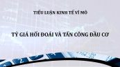 Tiểu luận: Tỷ giá hối đoái và tấn công đầu cơ