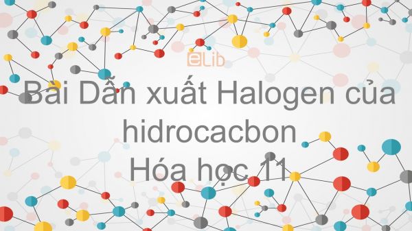 Hoá học 11 Bài 39: Dẫn xuất halogen của hiđrocacbon
