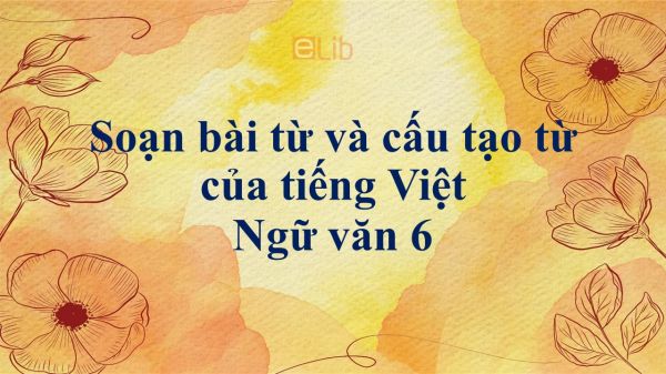 Soạn bài Từ và cấu tạo từ của tiếng Việt đầy đủ